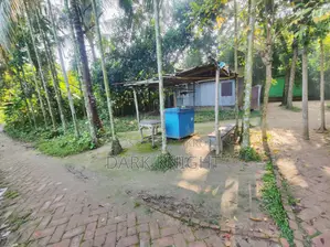 ঝিনাইদহের ১ নম্বর ওয়ার্ডের পবহাটি জর্দারপাড়া এলাকায় ৩ শতাংশ জমি