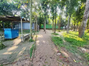 ঝিনাইদহের ১ নম্বর ওয়ার্ডের পবহাটি জর্দারপাড়া এলাকায় ৩ শতাংশ জমি