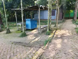 ঝিনাইদহের ১ নম্বর ওয়ার্ডের পবহাটি জর্দারপাড়া এলাকায় ৩ শতাংশ জমি