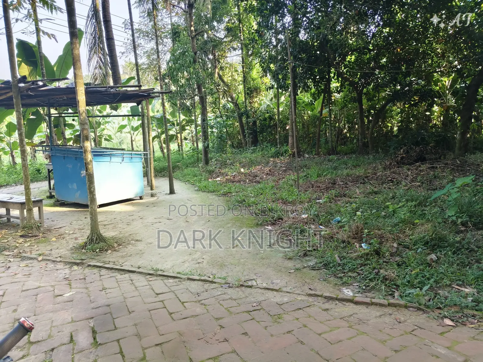 ঝিনাইদহের ১ নম্বর ওয়ার্ডের পবহাটি জর্দারপাড়া এলাকায় ৩ শতাংশ জমি