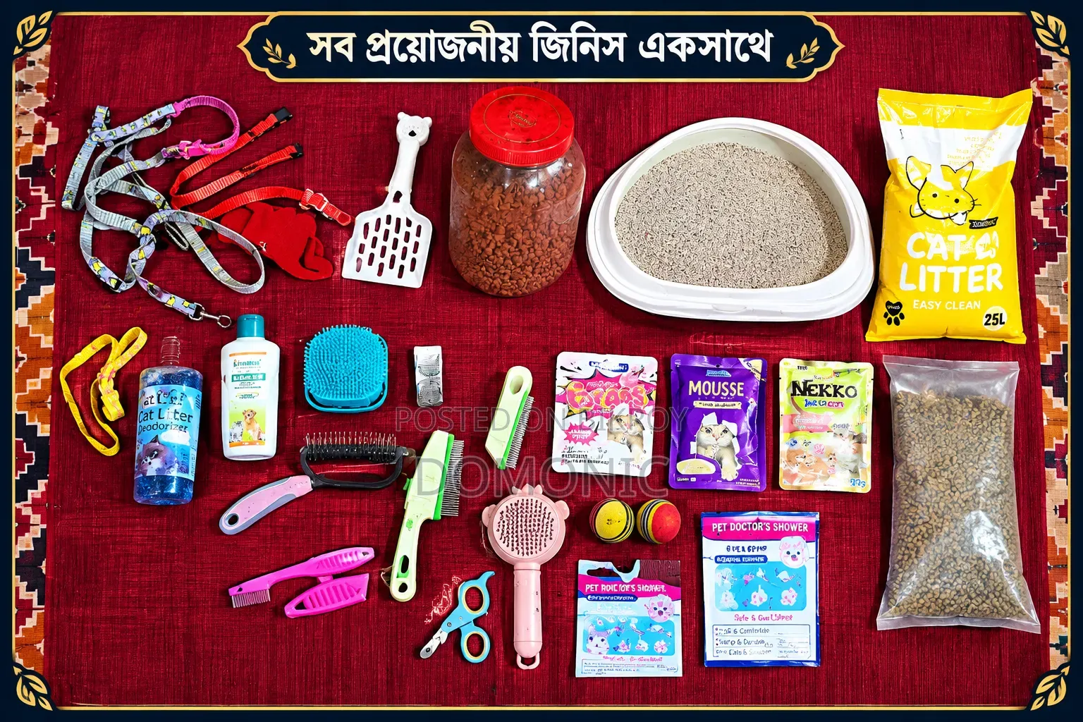 ৩-৬ মাসের মেল পিওরব্রেড পার্সিয়ান