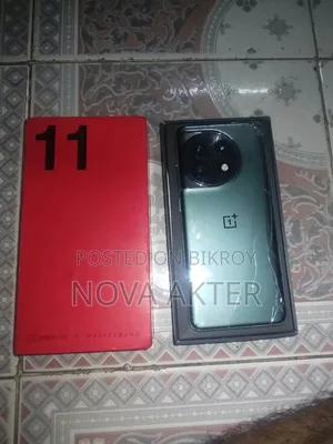 OnePlus 11 256 GB Gray