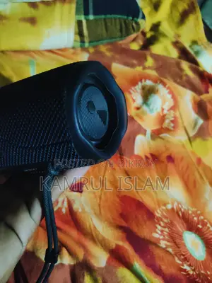 JBL Flip 6 (Original) With Full Box & Cable