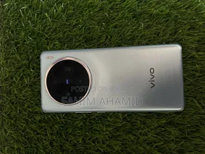 Vivo X100 256 GB Blue