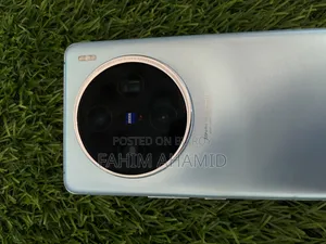 Vivo X100 256 GB Blue