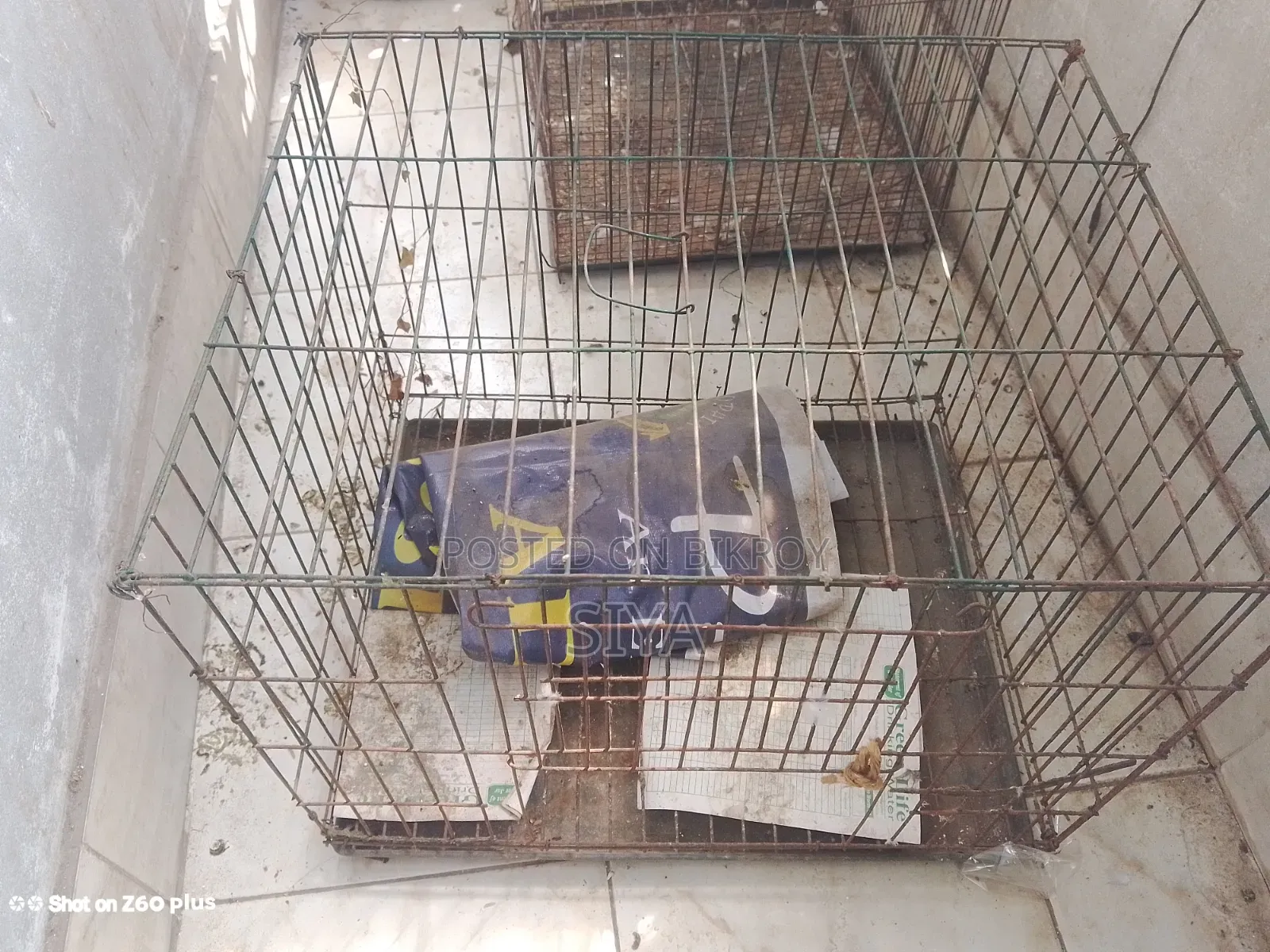Bird Cage for Sale