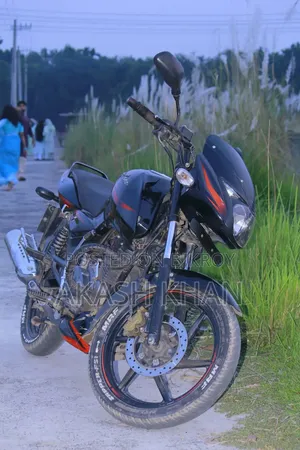 Bajaj Pulsar 2018 Black