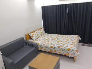 Furnished Studio Apartment in Bashundhara City for sale