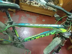 বাইসাইকেল - ফোনিক্স