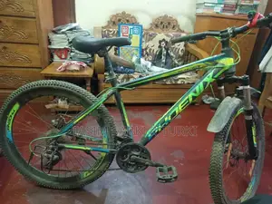 বাইসাইকেল - ফোনিক্স