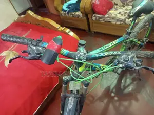 বাইসাইকেল - ফোনিক্স