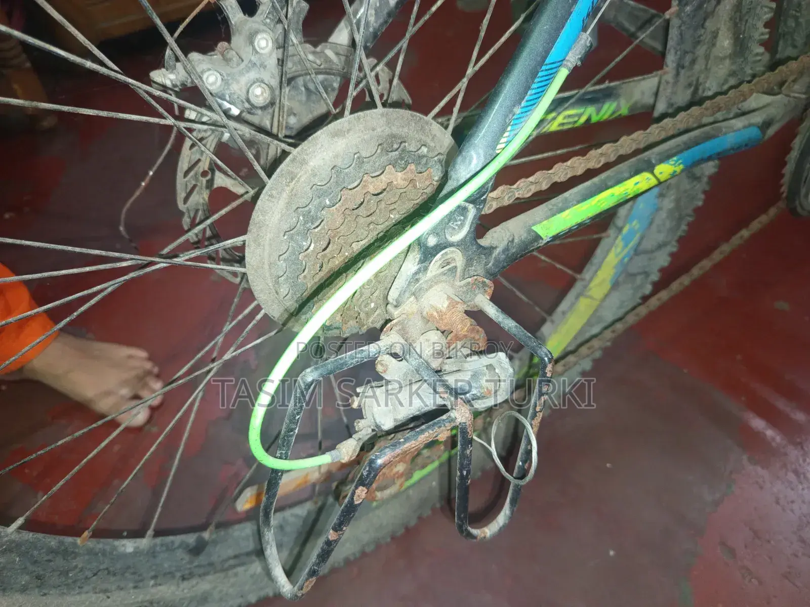 বাইসাইকেল - ফোনিক্স