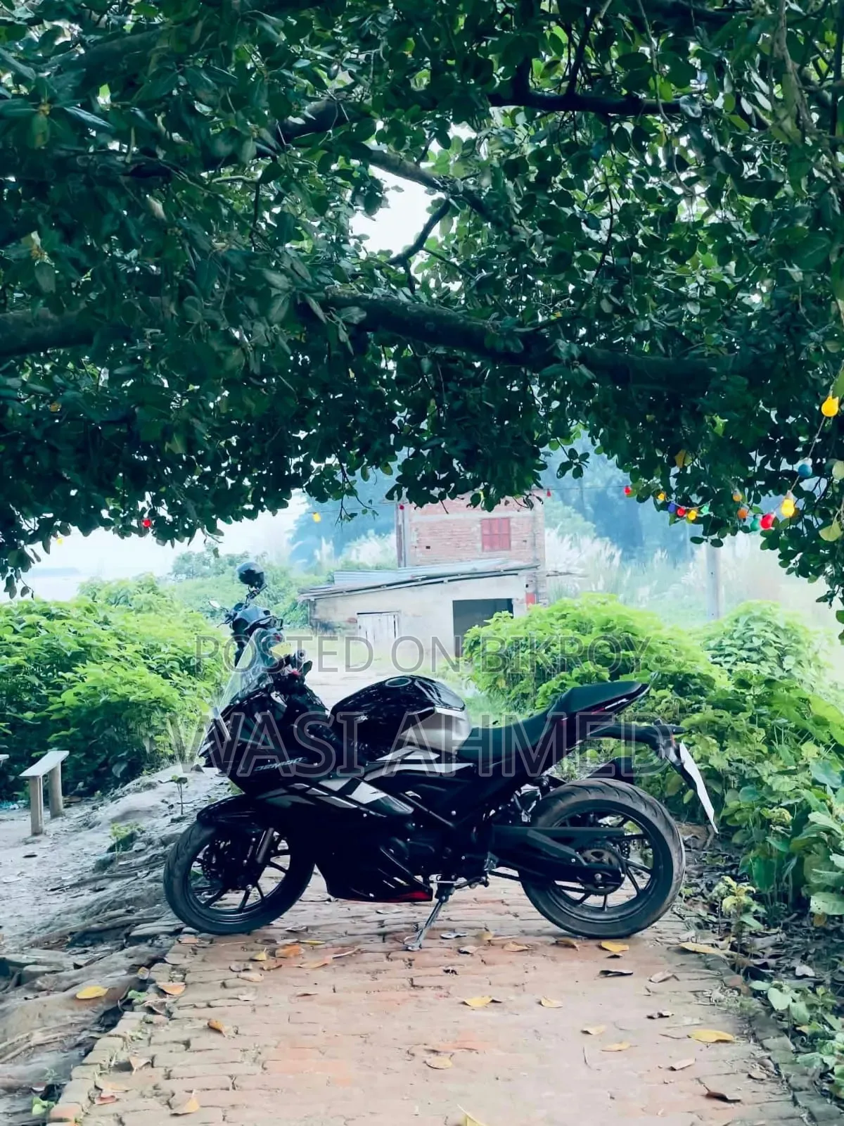 GPX GR200R DaCorSa 2026 Black