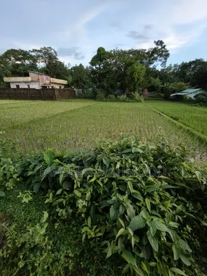 কক্সবাজারের খুরুশকুলে ৪ গণ্ডা নিষ্কণ্টক জমি মাত্র ২৮ লাখ টাকায়