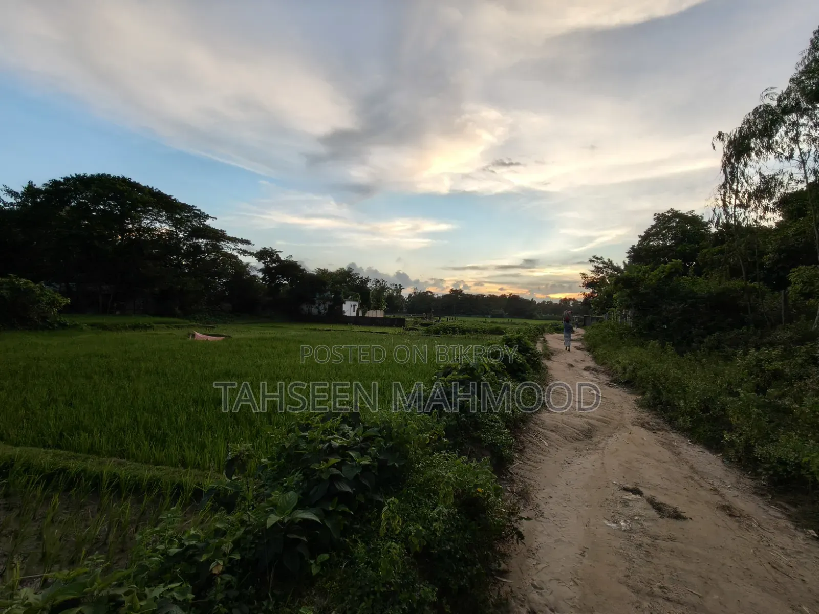 কক্সবাজারের খুরুশকুলে ৪ গণ্ডা নিষ্কণ্টক জমি মাত্র ২৮ লাখ টাকায়