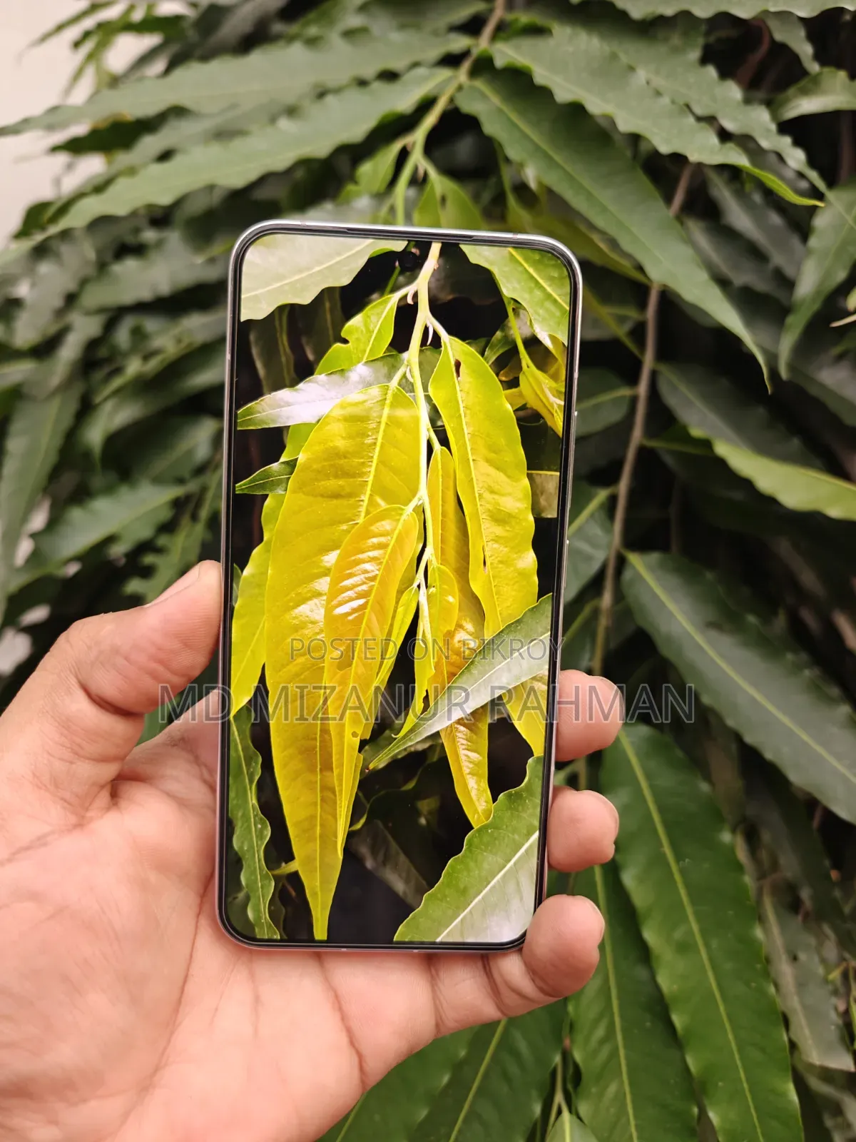 Xiaomi 14 256 GB Rose Gold