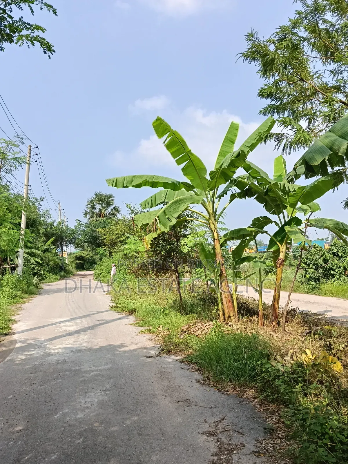সেক্টর ১৭বি, ৩ কাঠা, ৬০ ফুট রোড মাঠ সংলগ্ন