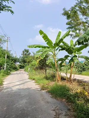 সেক্টর ১৭বি, ৩ কাঠা, ৬০ ফুট রোড মাঠ সংলগ্ন