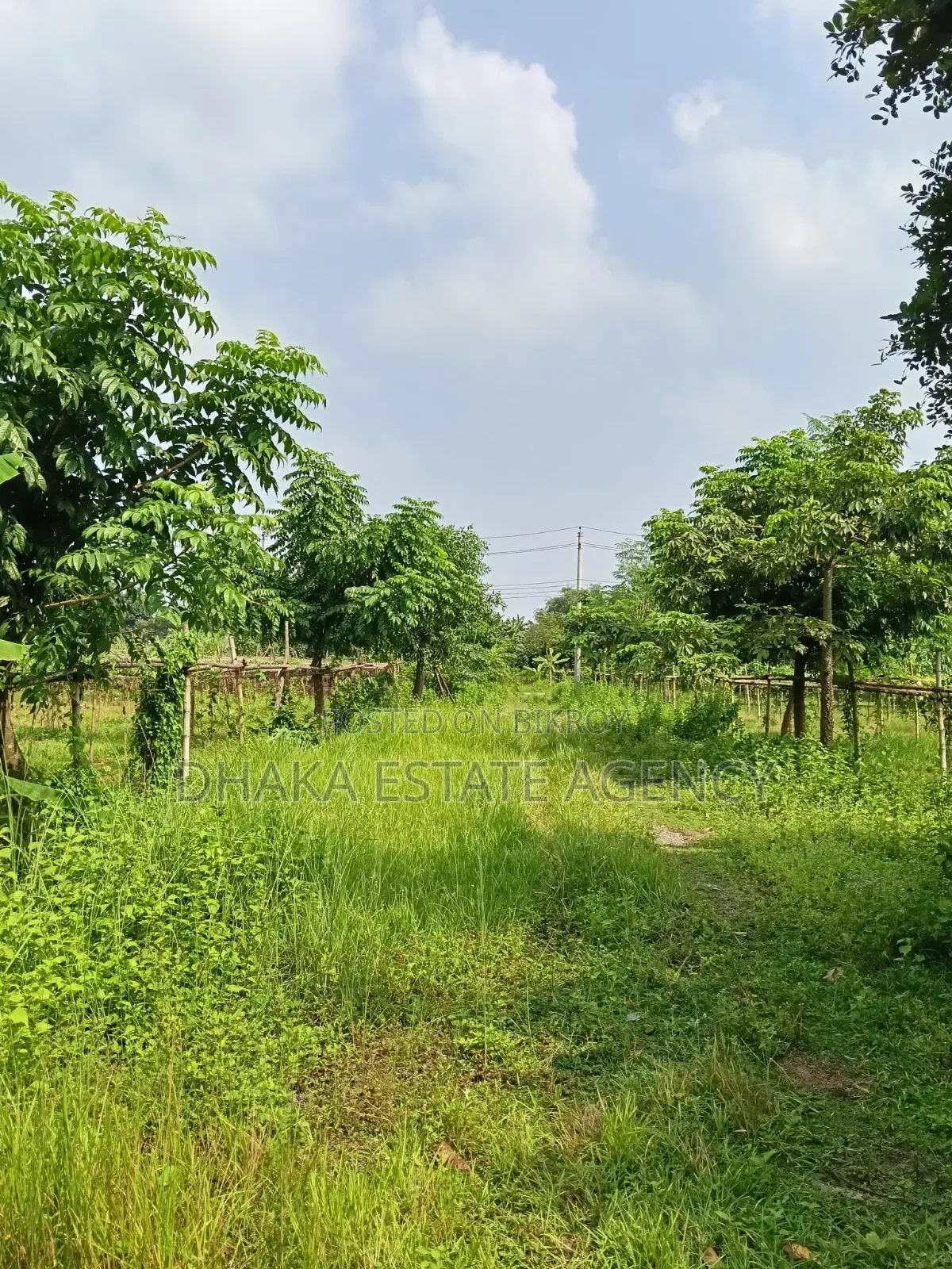 সেক্টর-১৭ডি, ৩ কাটা খুব খুব কাছাকাছি মেট্রো স্টেশন