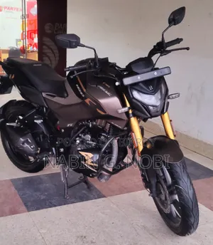 হিরো এক্সট্রিম ১৬০আর ২০২৫ গ্রে