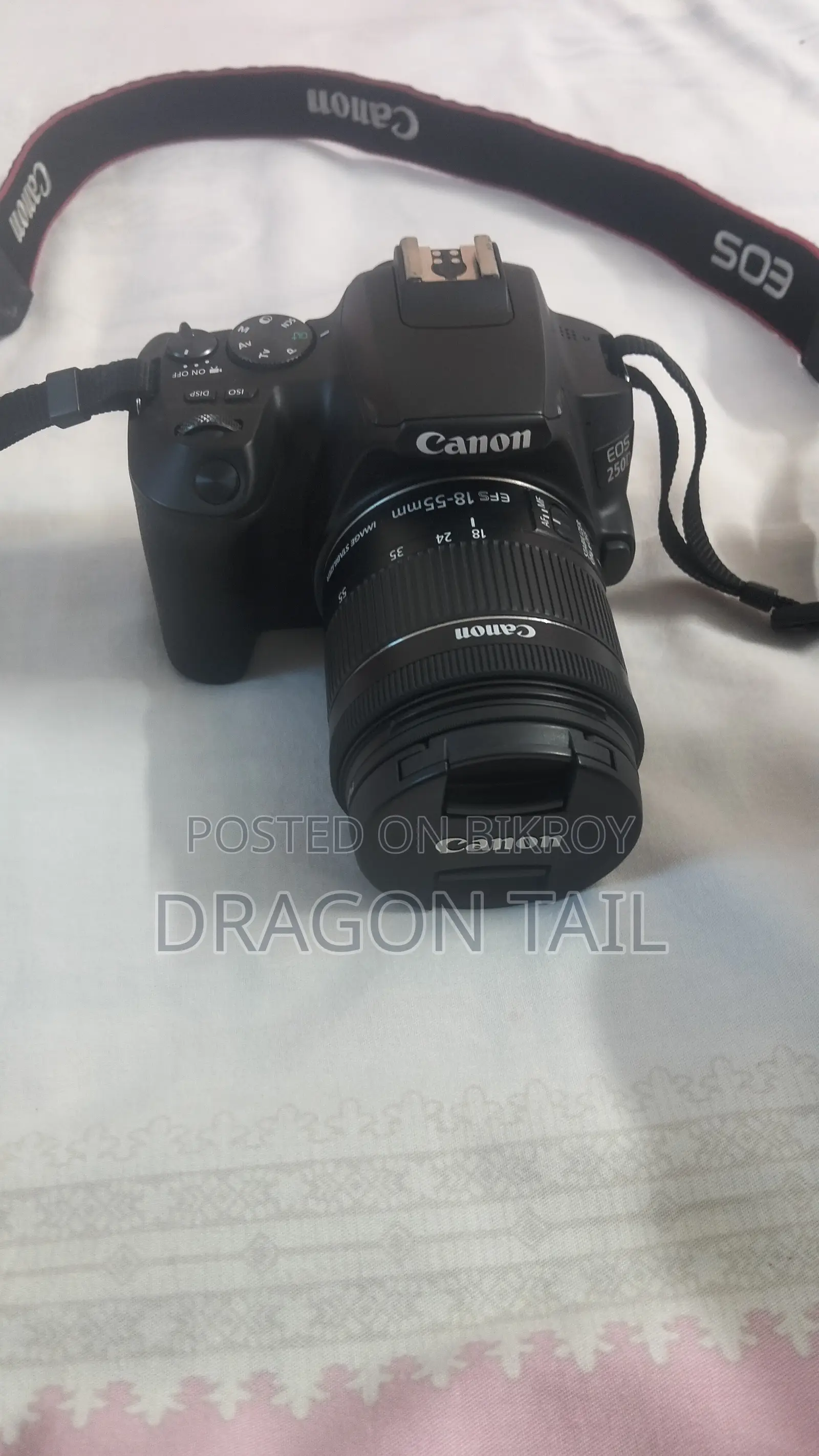 Canon 250D With STM Kit Lens & 50mm Prime Lens
