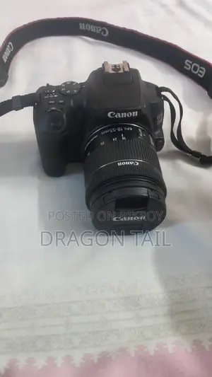 Canon 250D With STM Kit Lens & 50mm Prime Lens
