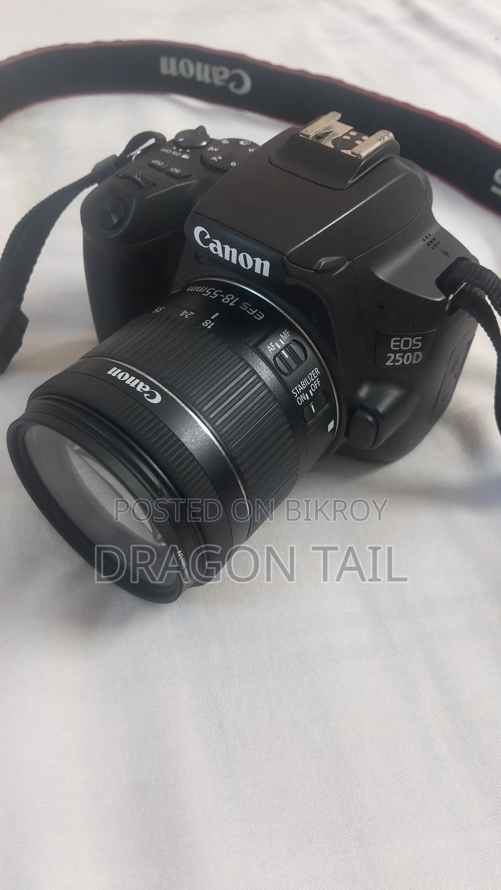Canon 250D With STM Kit Lens & 50mm Prime Lens