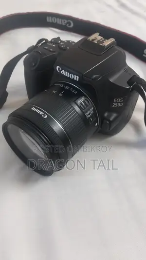 Canon 250D With STM Kit Lens & 50mm Prime Lens