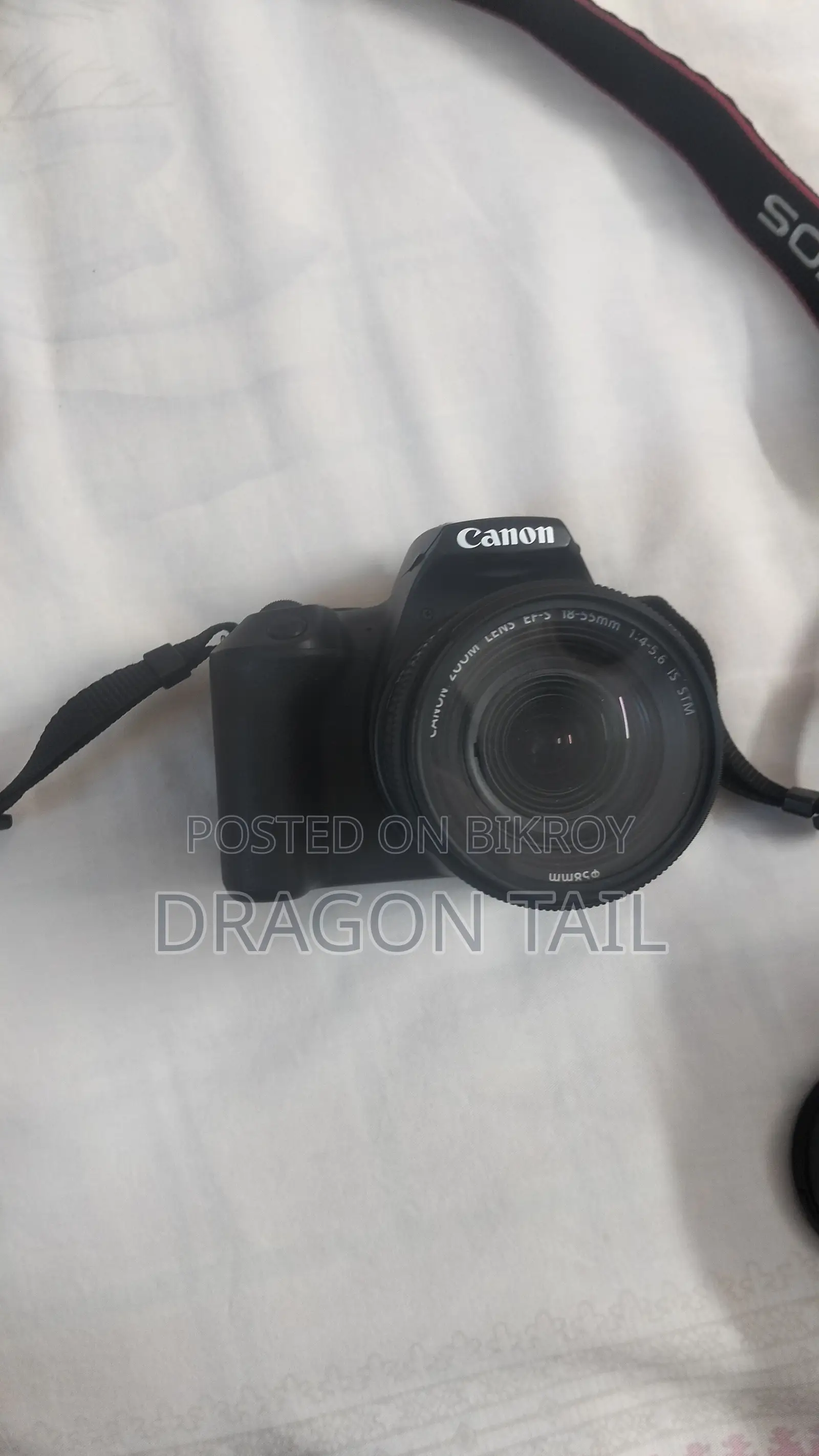 Canon 250D With STM Kit Lens & 50mm Prime Lens