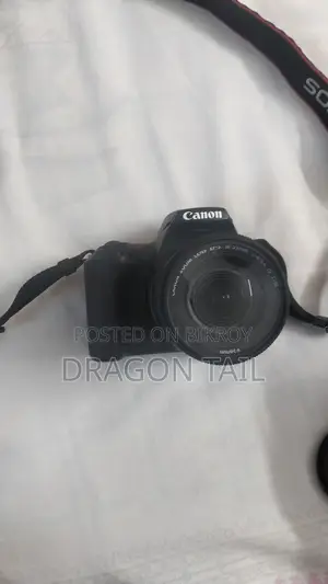 Canon 250D With STM Kit Lens & 50mm Prime Lens