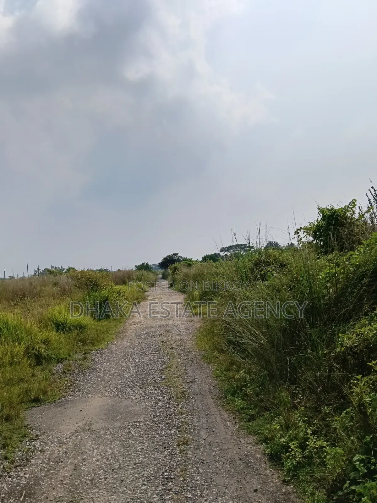 Sector-17a, 3 Katha Plot Sale