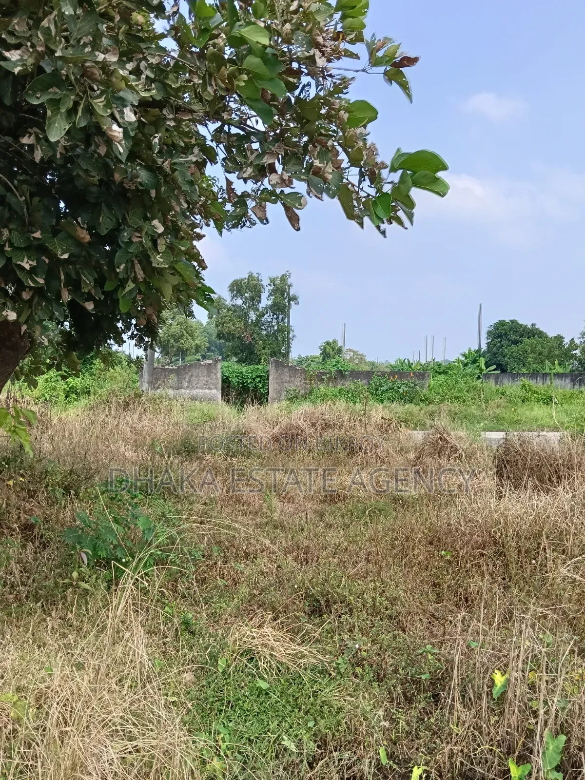 Sector-17a, 3 Katha Plot Sale