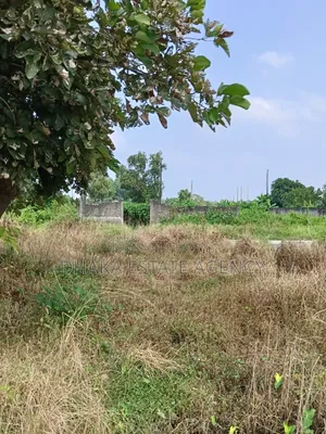 Sector-17a, 3 Katha Plot Sale