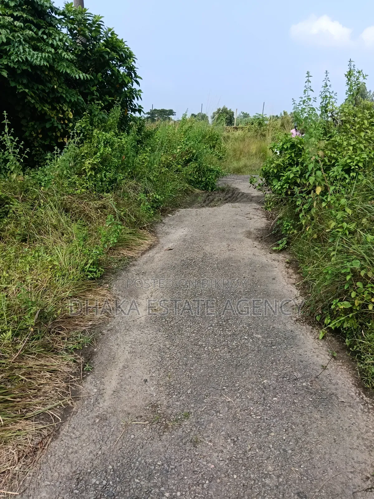 সেক্টর-১৭এ-১, ৩ কাঠা প্লট বিক্রি