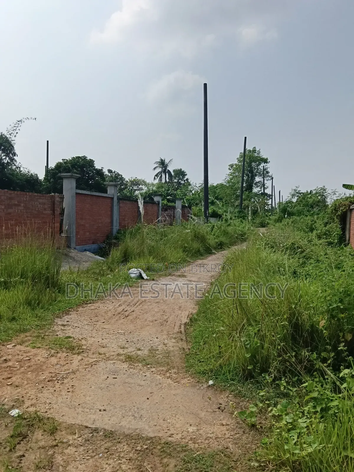 সেক্টর-১৭এ-১, ৩ কাঠা প্লট বিক্রি