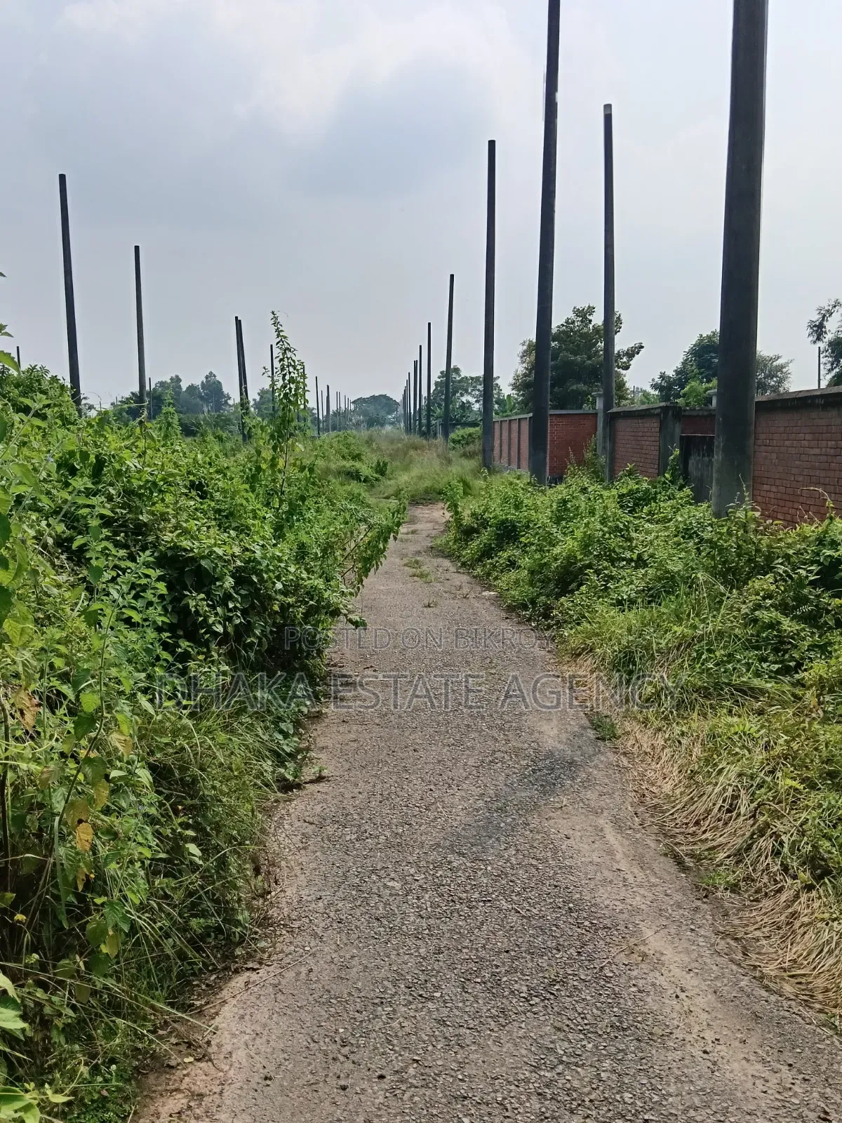 সেক্টর-১৭এ, দক্ষিণমুখী ৩ কাঠা প্লট বিক্রি