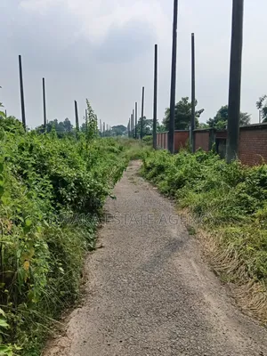 সেক্টর-১৭এ, দক্ষিণমুখী ৩ কাঠা প্লট বিক্রি