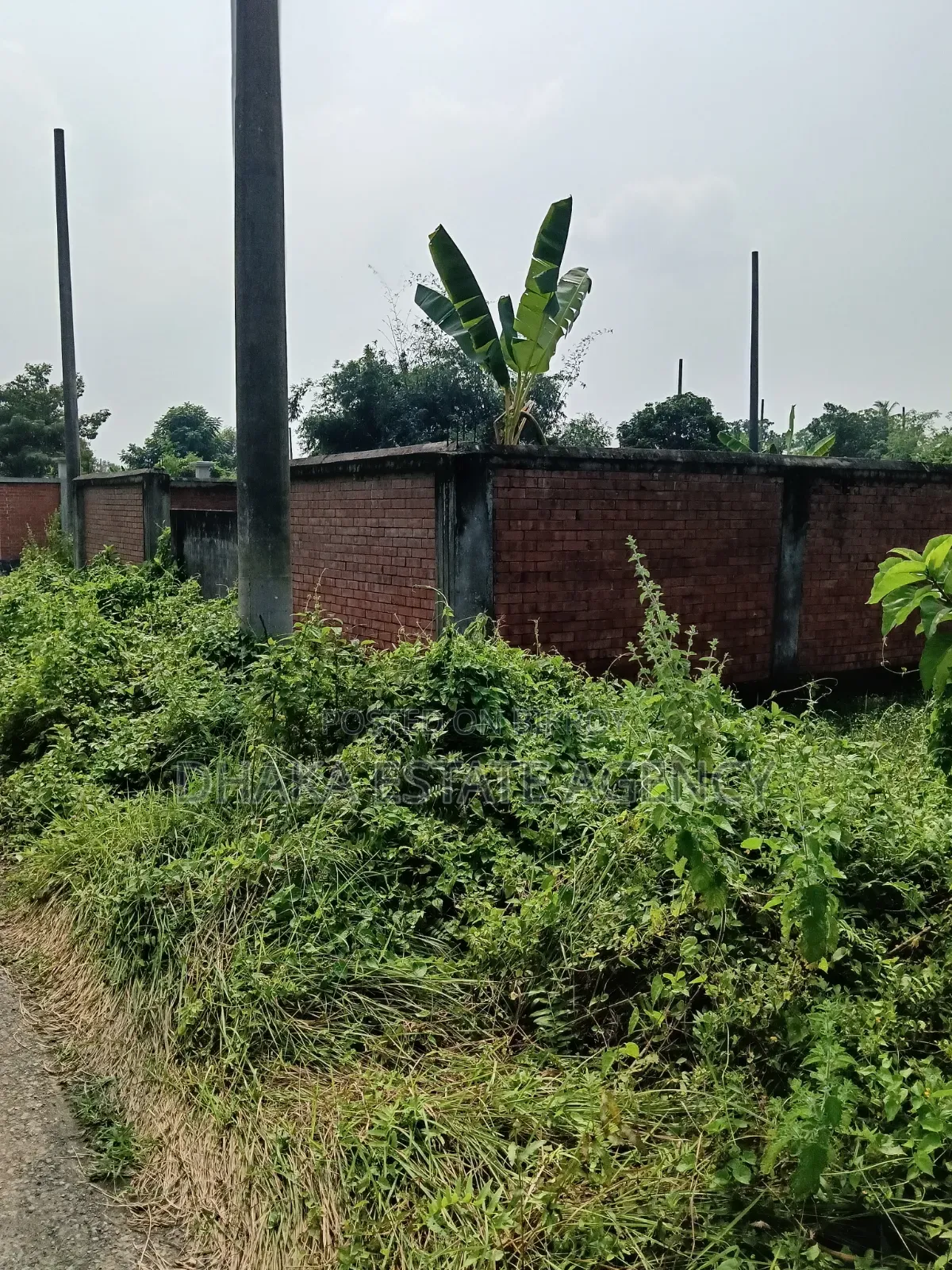 সেক্টর-১৭এ, দক্ষিণমুখী ৩ কাঠা প্লট বিক্রি