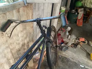 ফিনিক্স (Phoenix) সাইকেল