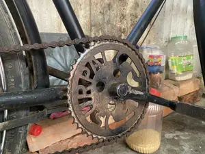 ফিনিক্স (Phoenix) সাইকেল