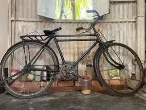 ফিনিক্স (Phoenix) সাইকেল