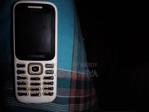 Samsung B310