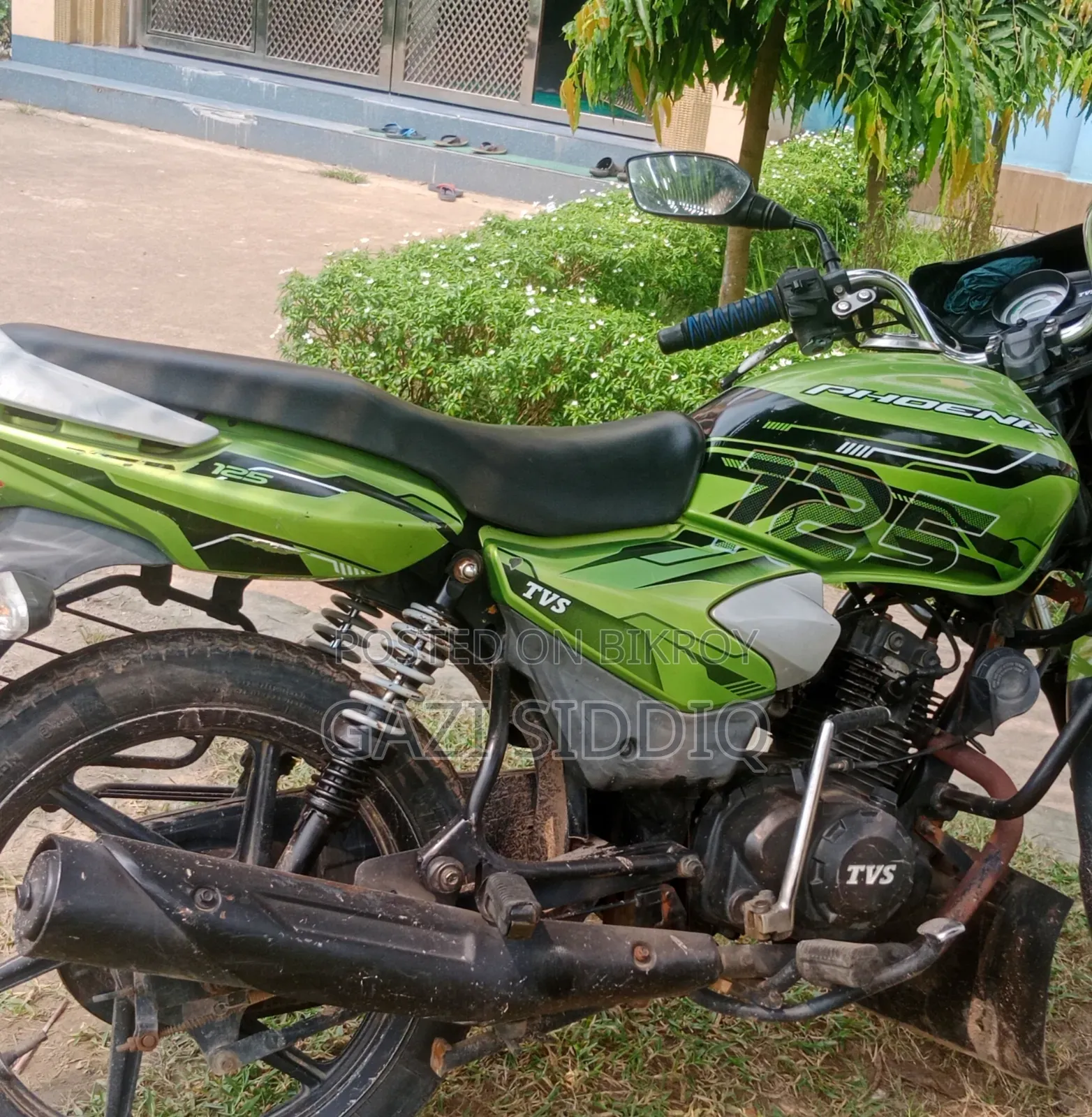 TVS 2013 Green