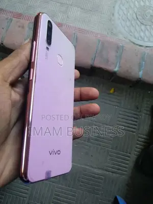 ভিভো ওয়াই১৭ ২৫৬ জিবি গোলাপি
