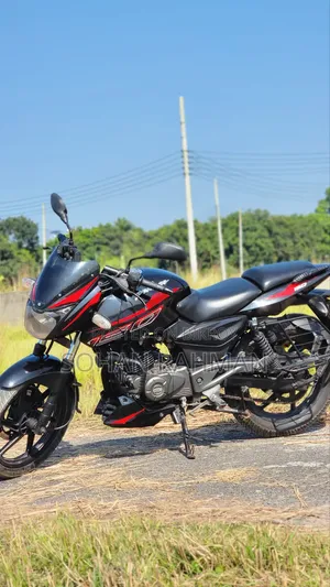 Bajaj Pulsar 150 2019 Black