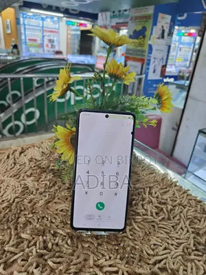 স্যামসাং গ্যালাক্সি এফ৫৪ ২৫৬ জিবি নীল