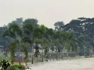 ঢাকা ওয়েস্টার্ন ভ্যালি, মিরপুর (ঢাকা উত্তর সিটি কর্পোরেশনের ১৪ আসন)