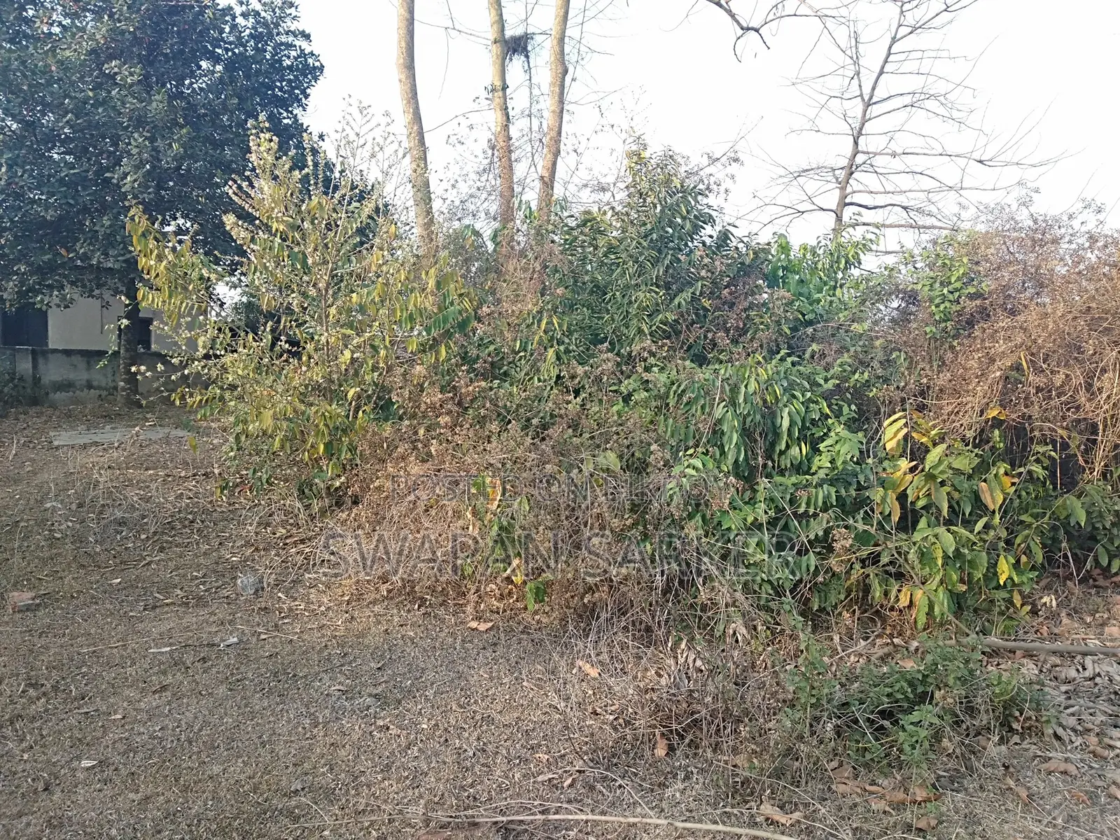 মিঃ স্বপন সরকার