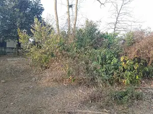 মিঃ স্বপন সরকার