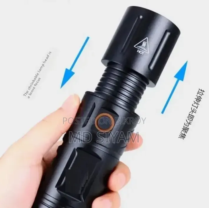 Japanese Torch Light